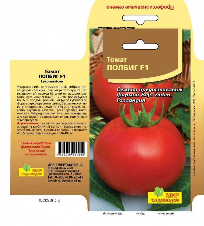 Полбиг помидоры: описание, выращивание, уход, фото
