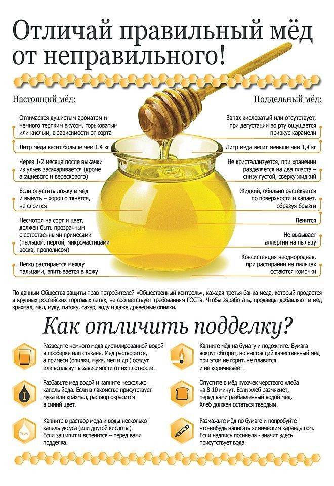 Как лучше употреблять мед с пользой для организма, употребление меда с утра