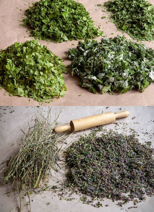 Как правильно сушить травы в домашних условиях