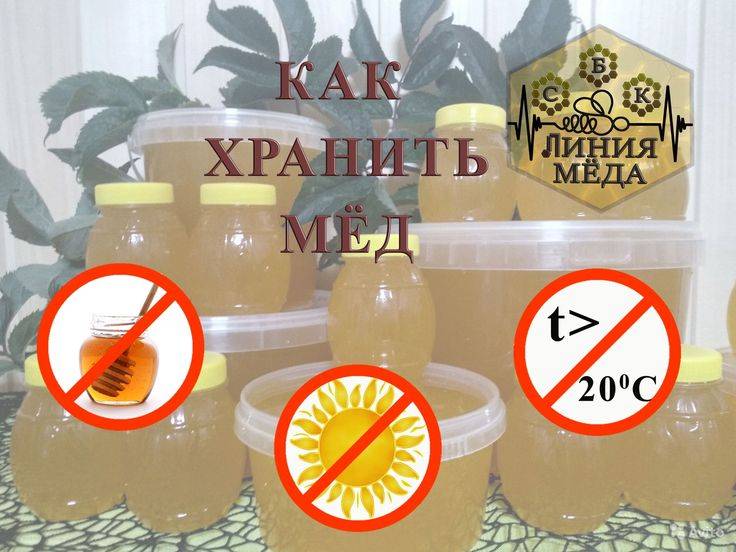 Как хранить мед в домашних условиях, чтобы он не испортился и не засахарился: тара, температура, место + отзывы