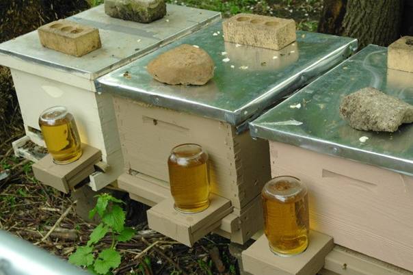 Как поставить медовуху в домашних условиях. 5 лучших рецептов приготовления домашней медовухи