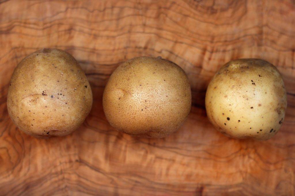Картофель адретта: описание и особенности выращивания культуры