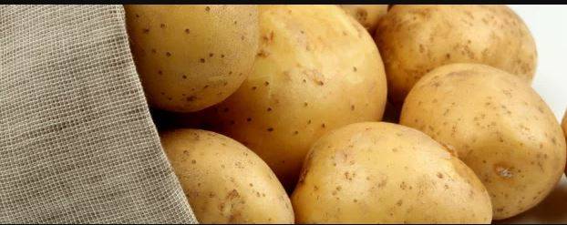 ᐉ сорт картофеля «никулинский» – описание и фото - roza-zanoza.ru