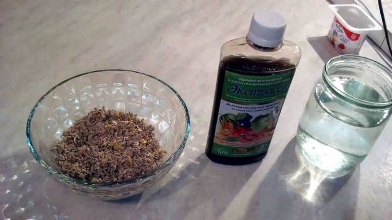 9 способов предпосевной подготовки семян огурцов для лучшего всхожести и отличного урожая