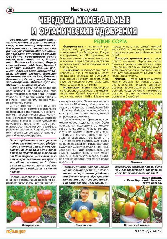 Подкормка помидоров в открытом грунте: чем удобрять, когда и какие удобрения использовать