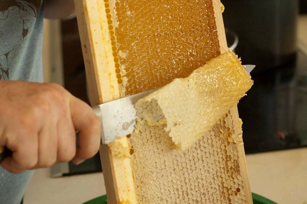Пчелиный забрус - что это? свойства продукта, польза и вред, как применять?