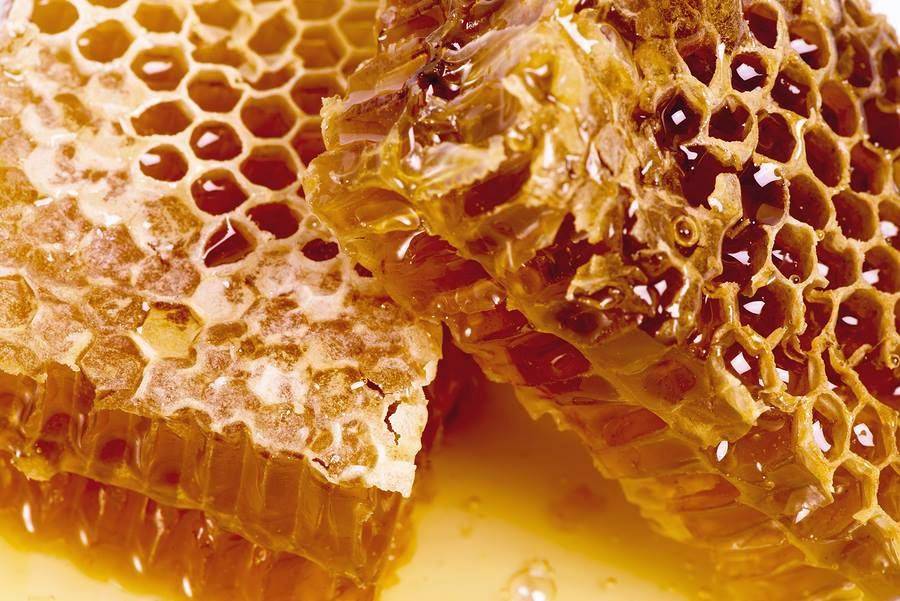 Мёд в сотах: как хранить и есть? можно ли глотать воск?