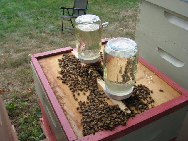 Подкормка пчел осенью сахарным сиропом