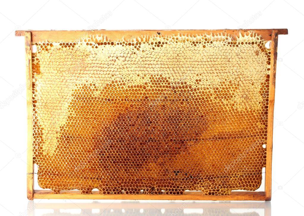 Сколько весит мёд - таблица - медовый сундучок