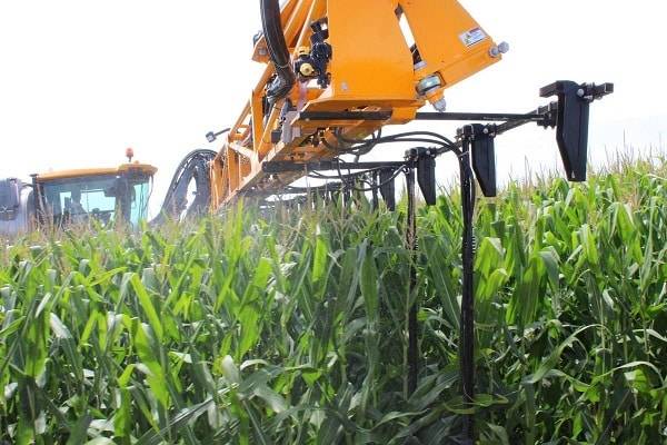 Для чего нужно удобрять кукурузу, орошение и полив после внесения подкормки