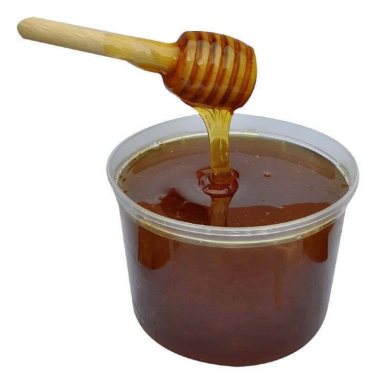 Черный мед ?: сорта, лечебные свойства и его отличительные особенности,применение