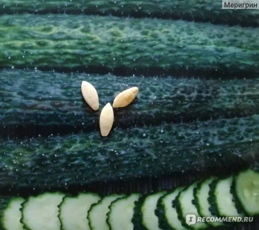 Огурцы изумрудный поток f1 – особенности сорта и секреты выращивания