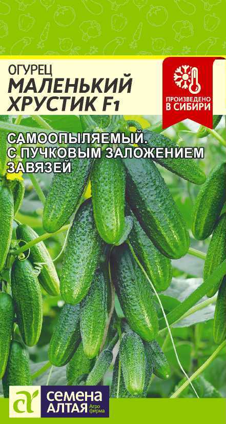 Огурец хрустик (f1): описание посадки и ухода, фото кустов и плодов, отзывы тех, кто выращивал этот гибрид