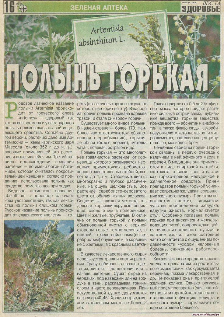 Профилактика и фитотерапия ковид-инфекции