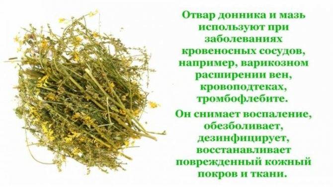 Донник трава — описание, свойства и применение