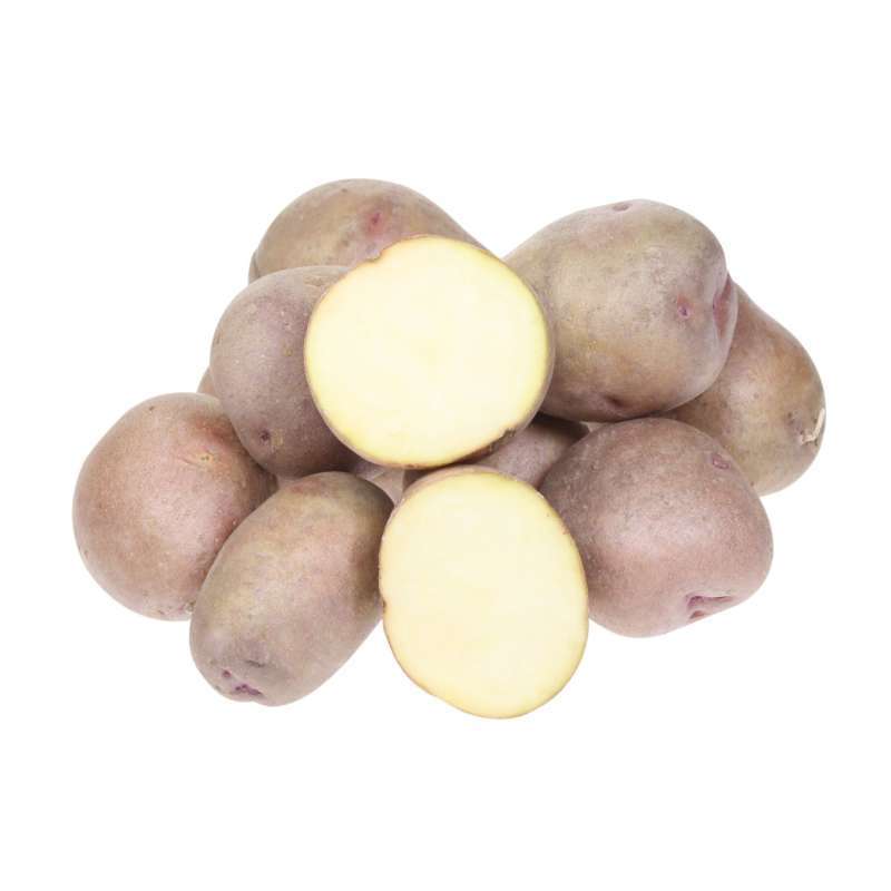 Сорт картофеля ажур: характеристика и описание сорта, фото