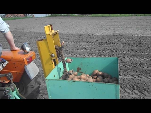 Как правильно произвести посадку картофеля мотоблоком?