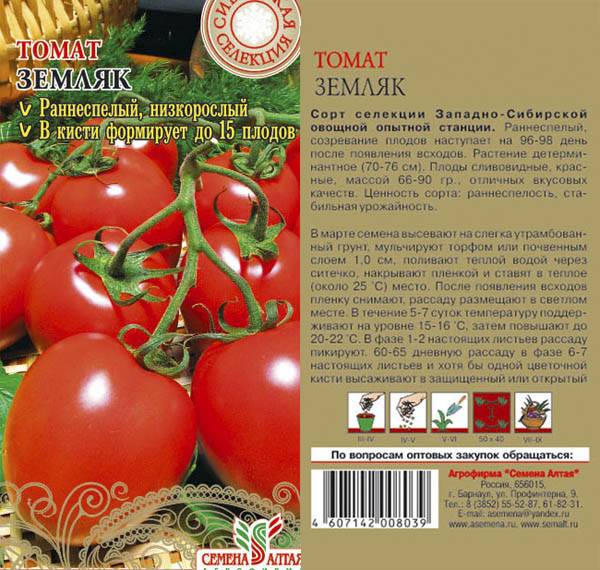 Томат земляк: описание сорта помидоров, отзывы тех, кто его сажал, фото кустов и полученного урожая