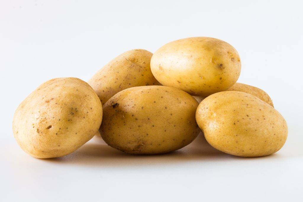 Сорта картофеля с большой урожайностью и высокими вкусовыми качествами