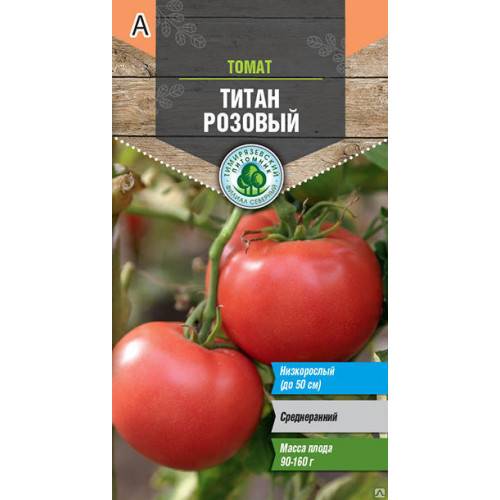 О сорте томата Титан: характеристики помидора, уход и выращивание