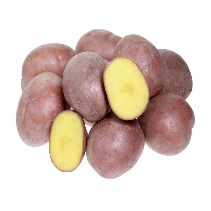Сорт картофеля родриго: фото и описание