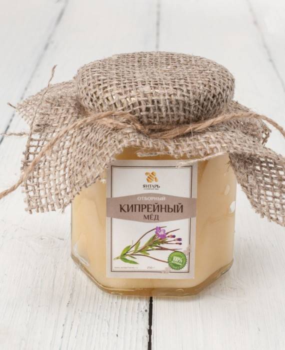 Кипрейный мед: полезные свойства и противопоказания, белый с фото, как отличить подделку