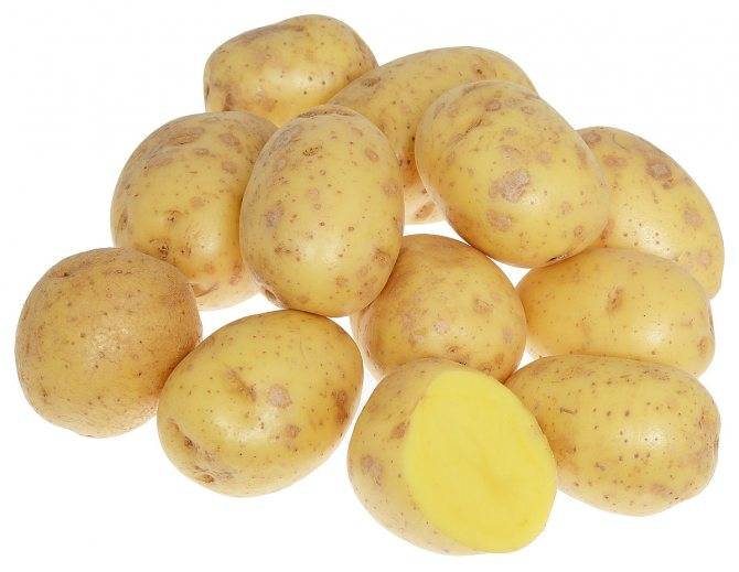 ᐉ картофель фелокс: описание сорта и его характеристика - orensad198.ru