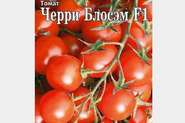 Томат черри блосэм: отзывы, фото, урожайность, описание и характеристика | tomatland.ru