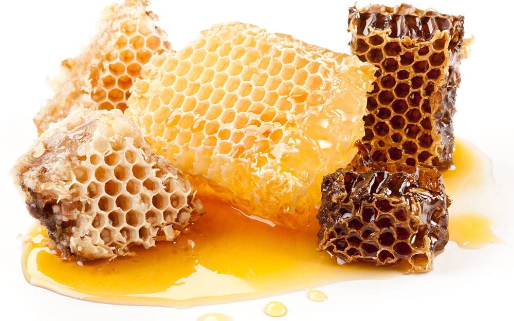 Мед в сотах: польза и вред, как едят, можно ли глотать воск, как хранить