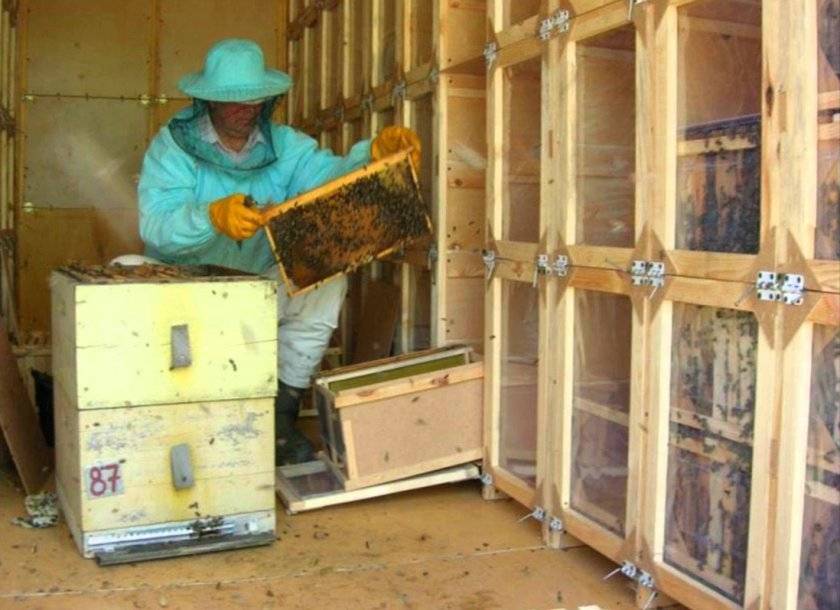 Строительство кассетного павильона для пчёл