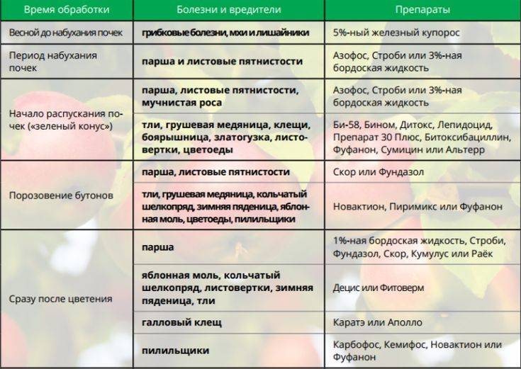 7 причин использовать аспирин в саду: улучшаем урожай баклажанов и помидоров, защищаем растения на supersadovnik.ru