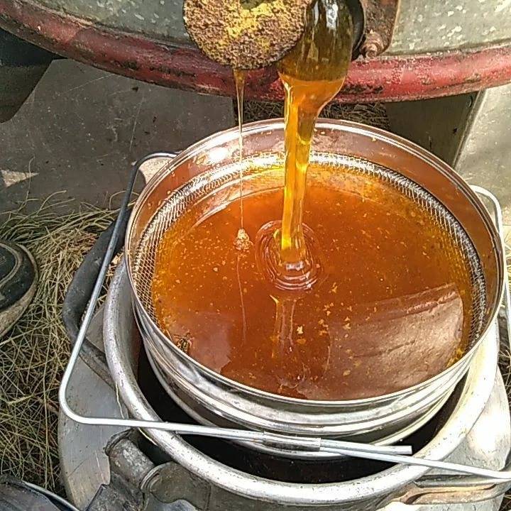 Когда и как правильно качать мед. время сбора меда