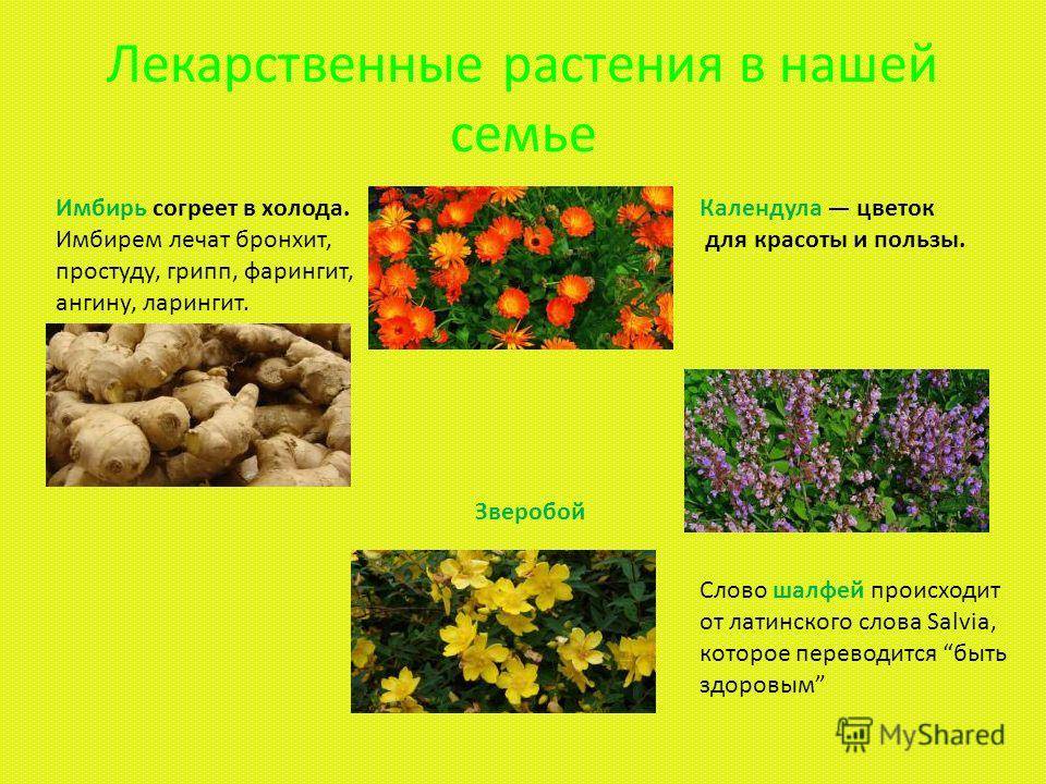 Какие характерные для растений свойства. Лекарственные растения. Лечебные растения. Полезные лекарственные растения. Лекартсвенныерастения.