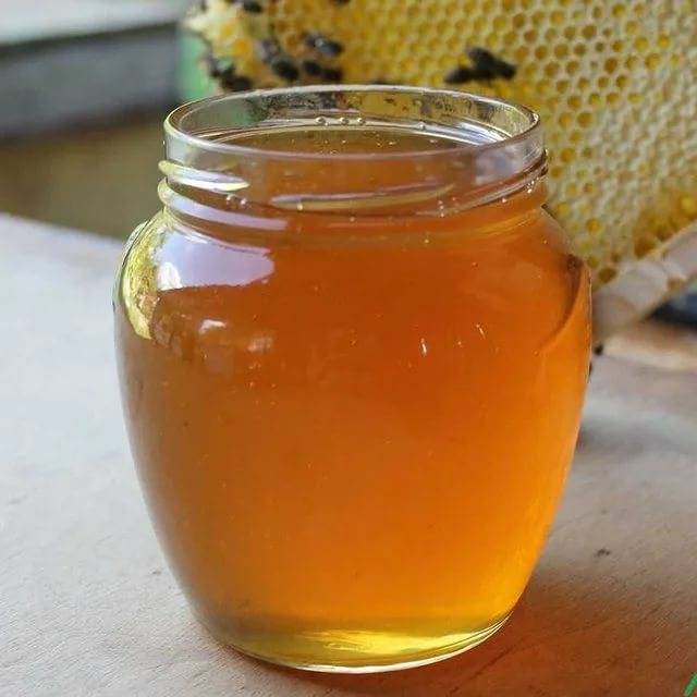 Как отличить настоящий натуральный мед от подделки