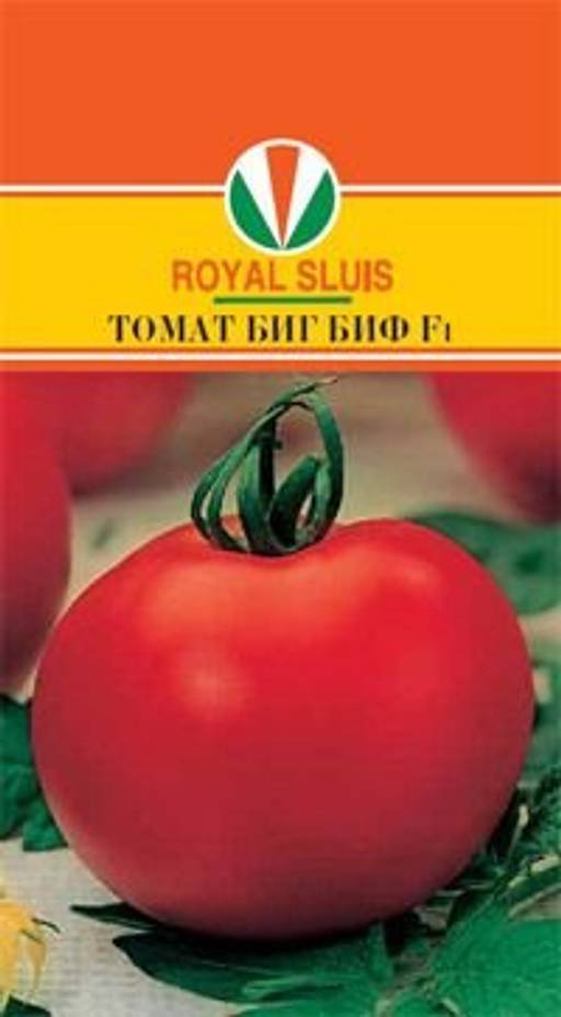 Томат биг биф: описание, отзывы, фото, характеристика. особенности выращивания | tomatland.ru