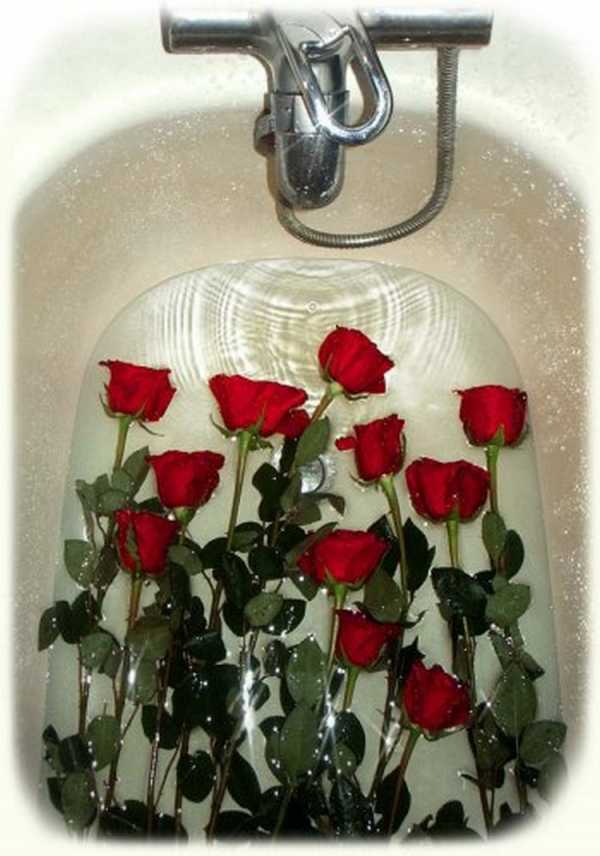 Что добавить розам в воду чтобы дольше стояли