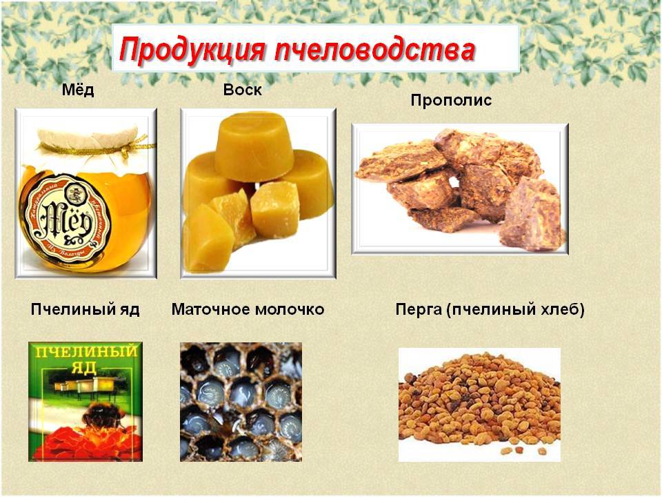 Домашний самогон из меда: рецепты с фото и видео