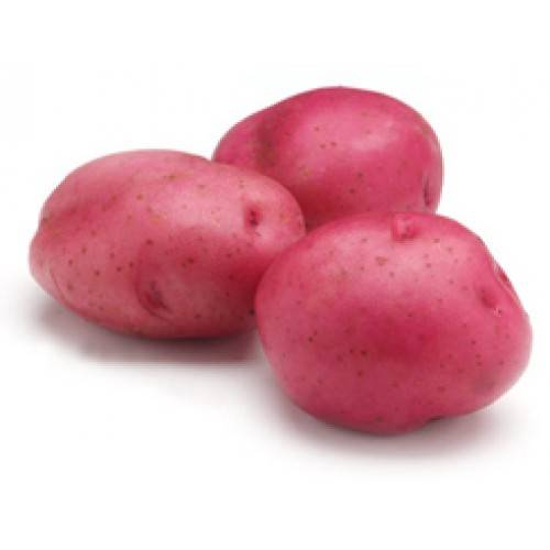 Сорт картофеля «родриго»: основные качества, выращивание и уход: характеристики, свойства, методы