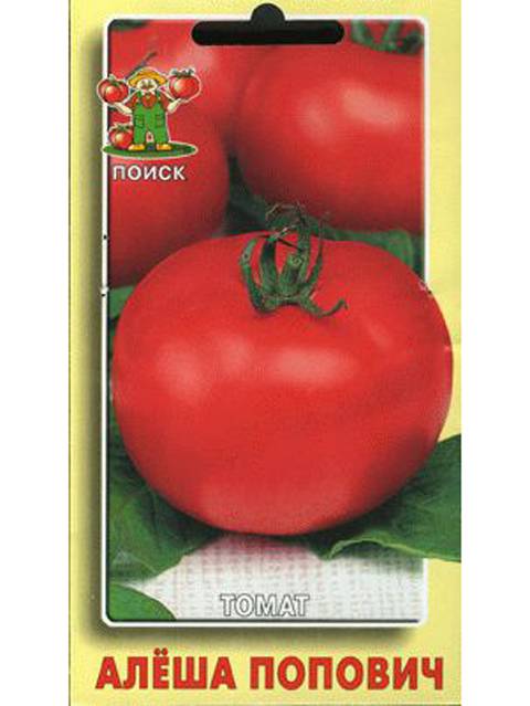 Характеристика и описание сорта алеша попович и выращивание томата