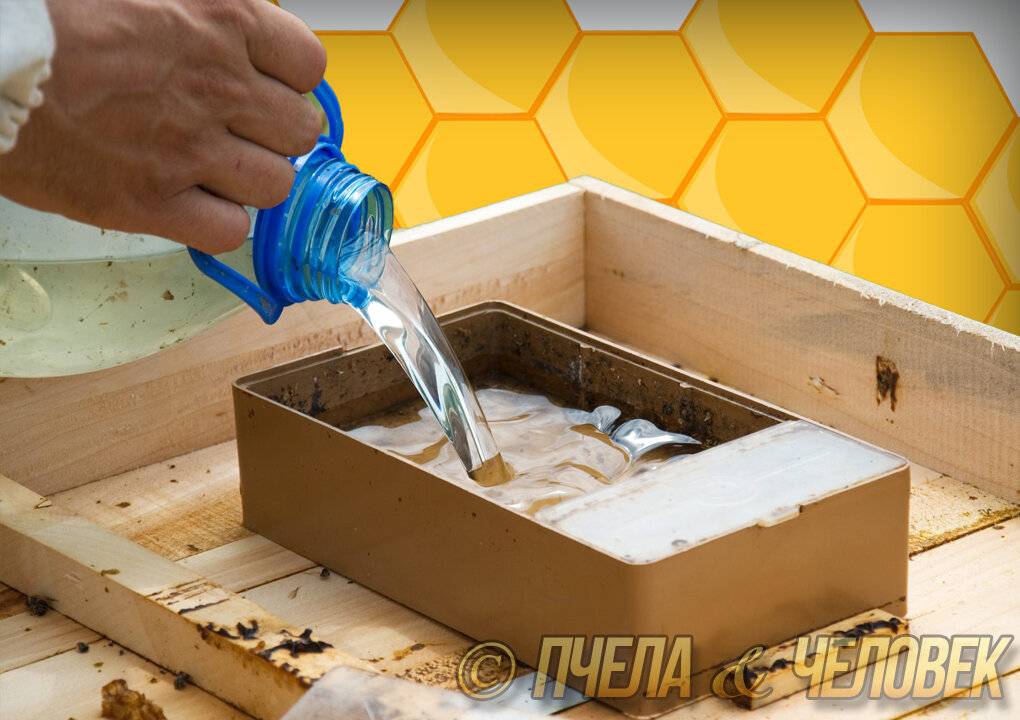 Сахарный сироп для пчел на зиму: рецепт обычного сиропа и инвертированного