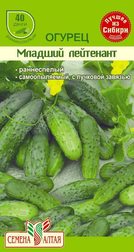 Огурцы гуннар f1: описание и технология выращивания