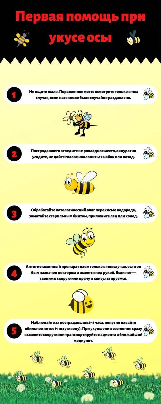 Укусила пчела: советы врача, что делать и как снять отек. инструкция по оказанию первой помощи при укусе шмеля, шершня, осы и пчелы