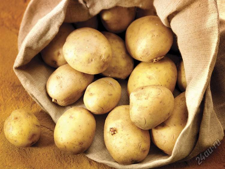 Ласунок: описание сорта картофеля, характеристики, агротехника