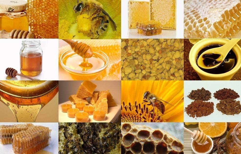 Брага из меда для самогона или питья: пропорции и рецепты приготовления
