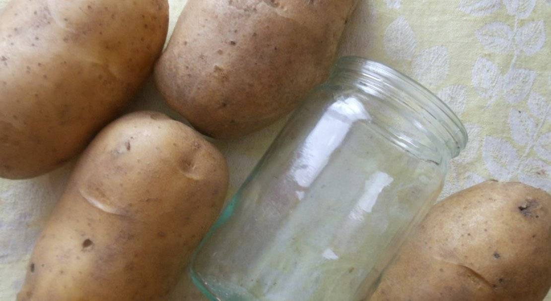 ✅ василек: описание семенного сорта картофеля, характеристики, агротехника