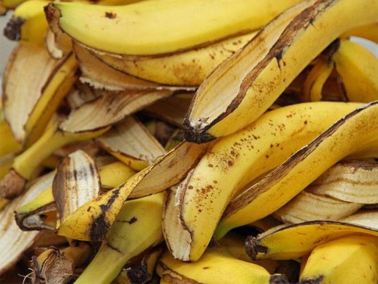 Банановая кожура как удобрение, применение для комнатных растений - почва.нет