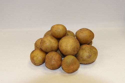 Сорт картошки никулинская: характеристика, правила выращивания