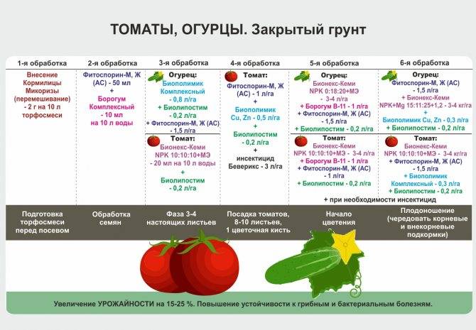 Какие удобрения вносить при посадке помидор в грунт и теплицу, особенности подкормки томатов