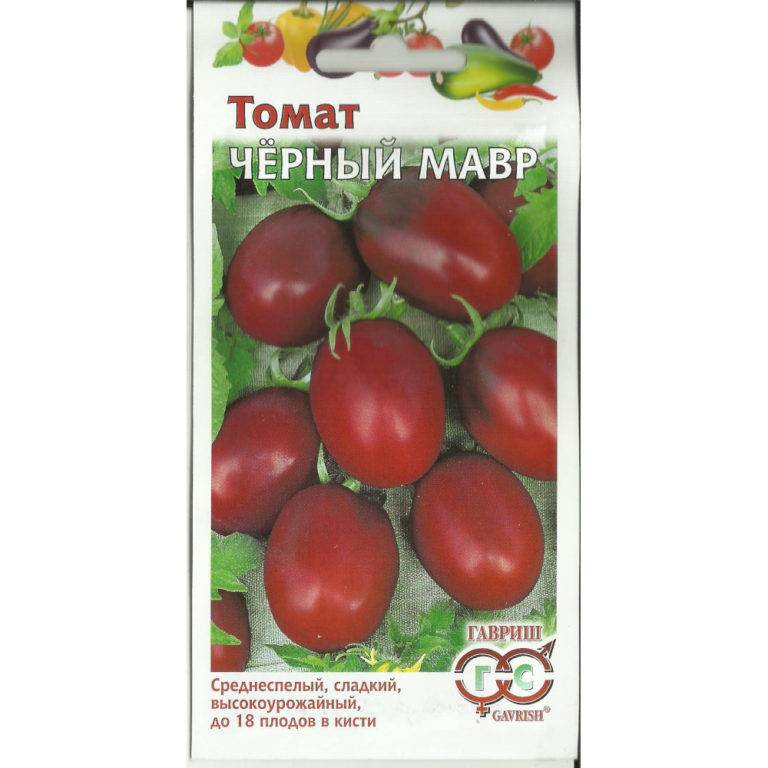 Характеристика и описание томата сорта черный мавр, выращивание и уход
