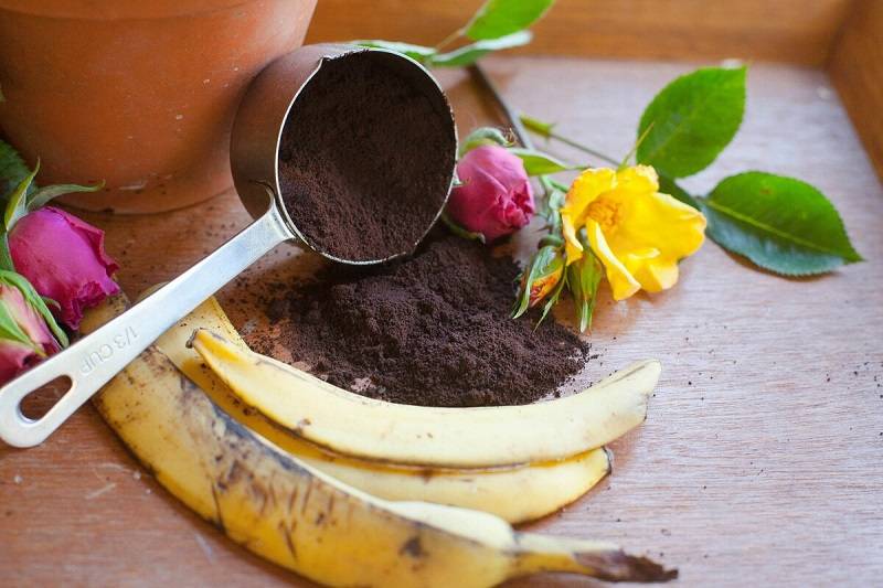Удобрение из банановой кожуры: рецепты подкормки для растений